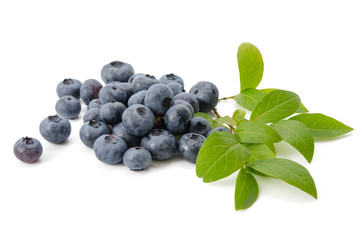 Blaubeeren und Blaubeerblätter