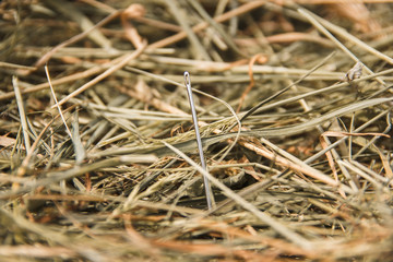 иголка в стоге сена