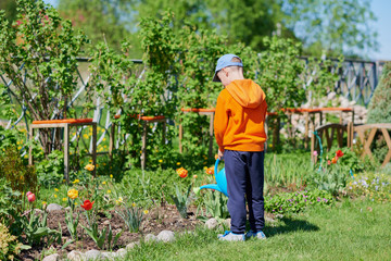 Caucasian boy watering flowers with water can on a croft. Back view.