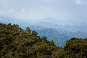 Cameron Highlands Gunung Jasar trekking