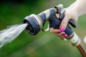 Watering garden flowers with hose