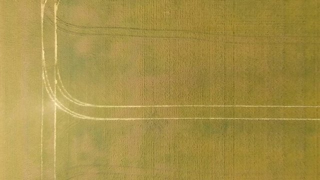 Aerail view of countryside fields.