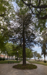 Park Patrao Joaquim Lopes on Olhao city