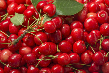 the background from fresh red cherries