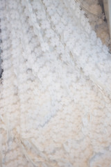 Bridal shop white bride dress