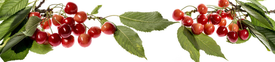fresh red cherries on a white background