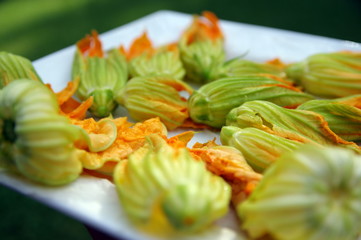 fleurs de courgettes