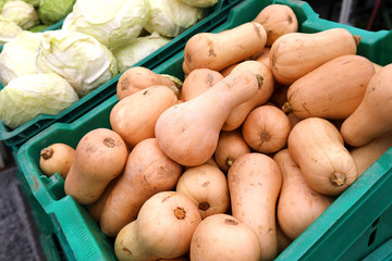 market butternut squash