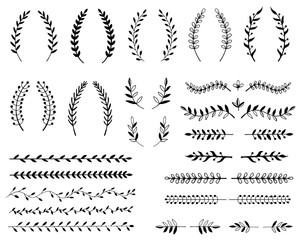 Hand drawn illustration of branches and leaves. Design elements