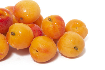 Armenian plums (Prunus armeniaca)