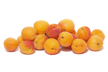 Armenian plums (Prunus armeniaca)