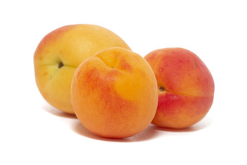 Armenian plum (Prunus armeniaca)