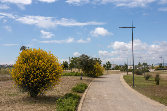 Urban park in Faro city
