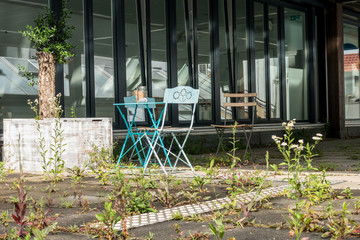 Unkraut zwischen Bodenplatten