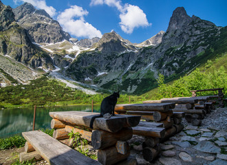 Dolina Kežmarskej Bielej vody, Kezmarska Valley, View on Lomnica © grzegorz_pakula