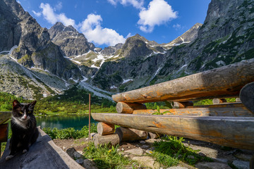 Dolina Kežmarskej Bielej vody, Kezmarska Valley, View on Lomnica © grzegorz_pakula