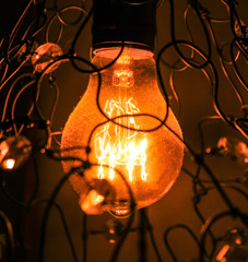 Old Style Electric Light Bulb