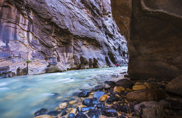 Fototapeta na wymiar beautiful of narrow in the afternoon in Zion National park,Utah,usa.