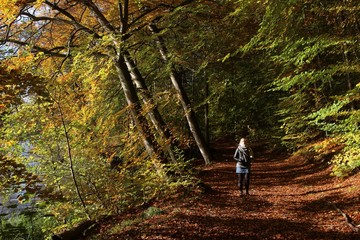 Obraz premium autumn walk
