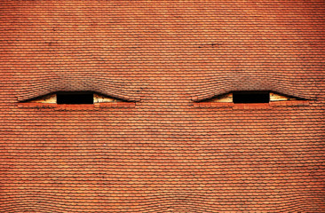 Fototapeta premium Architectural detail in Sibiu - Hermannstadt, Romania, Europe