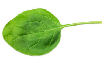 spinach leaves on white background