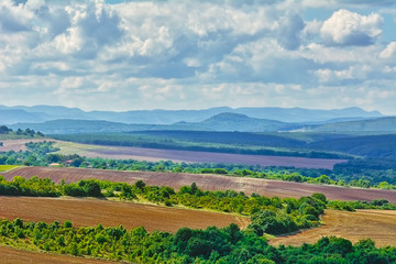 Naklejka premium Plowed Fields