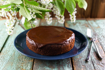 Homemade chocolate cake with chocolate icing in navy blue plate on old painted wood background served with white bird cherry flowers and two forks