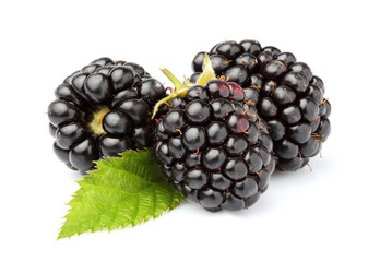 Fresh berries.Ripe blackberry isolated.