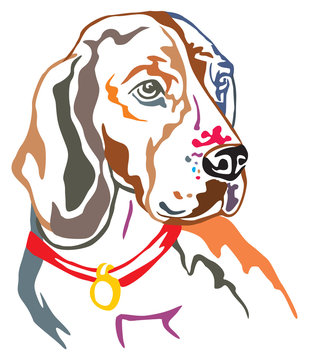 Colorful decorative portrait of Beagle vector illustration