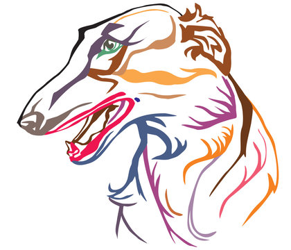 Colorful decorative portrait of Russian Wolfhound vector illustration