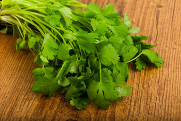 Coriander