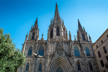 Fototapeta na wymiar Cathedral of the Holy Cross and Saint Eulalia. Barcelona.