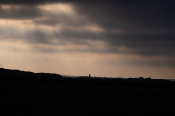 silhouettes of bushes and trees on the horizon.
