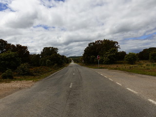 Fototapeta premium CARRETERA AL MONTE