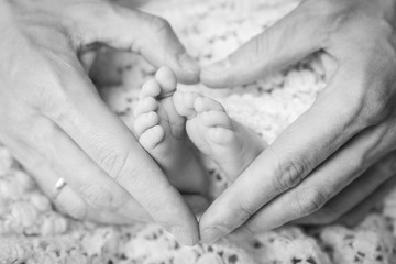 stópki noworodka w dłoniach rodzica