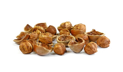 Pile of hazelnuts isolated on the white background