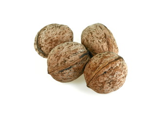 Walnut isolated on white background.