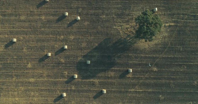 Aerial rolled hay farmland fields countryside landscape in Alentejo, destination region.