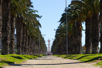 Palm trees empty avenue with La Serena Lighthouse on the background on sunny winter day, Chile....