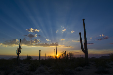 Arizona sunset