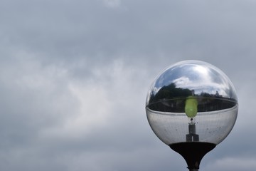 昼間の街灯、曇り空