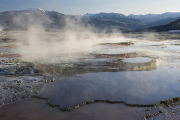 Hot springs at sunrise;  Yellowstone NP;  Wyoming