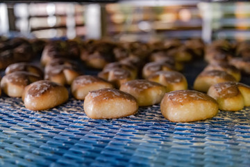 Baking production line. Glazed cookies on conveyor belt 