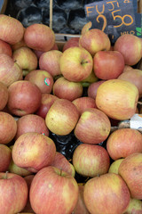 vegetables sold in farmer's market