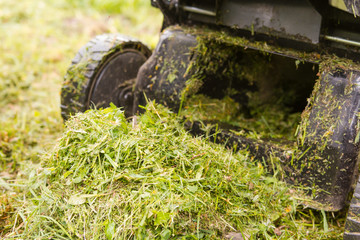 Lawn mower. Mow the lawn with a lawn mower.
