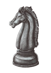 Hand-drawn chess knight illustration © Rawpixel.com