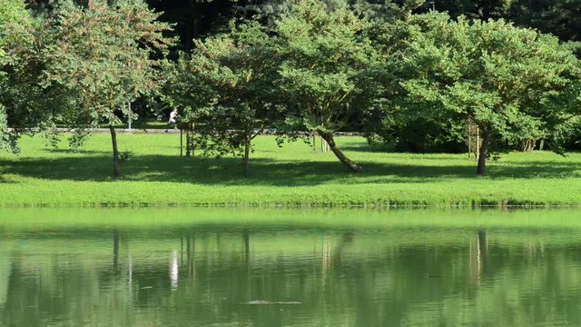 un pomeriggio al parco in una bella giornata di sole