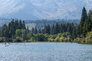 Fallen Leaf Lake
