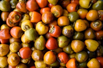 Full frame view of fresh ripe tropical Peach Palm fruit in a farmers market, Costa Rica