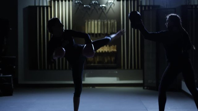two women practicing martial arts